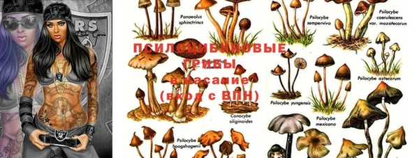 кокаин VHQ Гусев