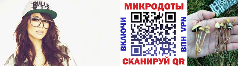 Псилоцибиновые грибы мицелий  blacksprut ССЫЛКА  Дрезна 